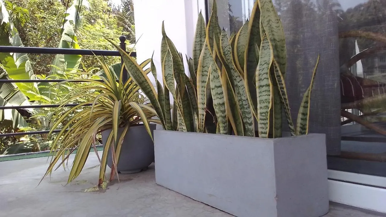Easy Apartment Kandy